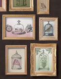 IOD Stamps - PASTICHE 12X12 IOD STAMP™