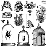 IOD Stamps - PASTICHE 12X12 IOD STAMP™