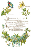 IOD Transfers - LOVER OF FLOWERS IOD TRANSFER 8X12 PAD™