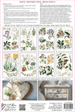 Sarah Featon’s Botanicals IOD Transfer 8x12 Pad™