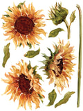 IOD Painterly Florals Tranfers