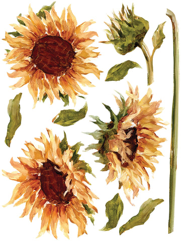 IOD Painterly Florals Tranfers