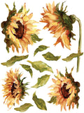 IOD Painterly Florals Tranfers