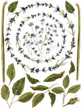 IOD Painterly Florals Tranfers